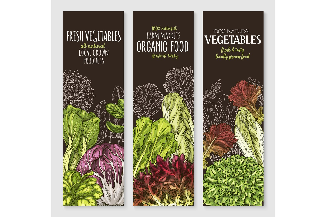 Vector banners of farm grown salads vegetables, a Food Illustration by ...