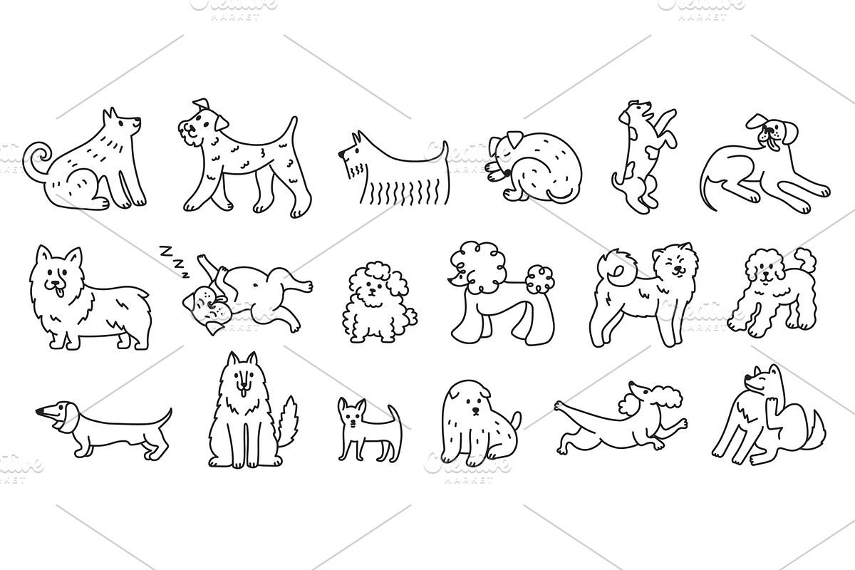 Cute line dogs. Dog breed doodles, an Animal Illustration by winwin.art
