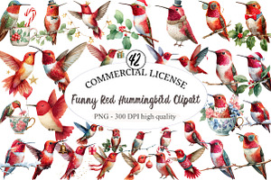 Funny Red Hummingbird Clipart, an Illustration by designcity5