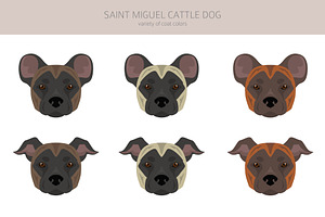 Saint Miguel Cattle Dog Clipart