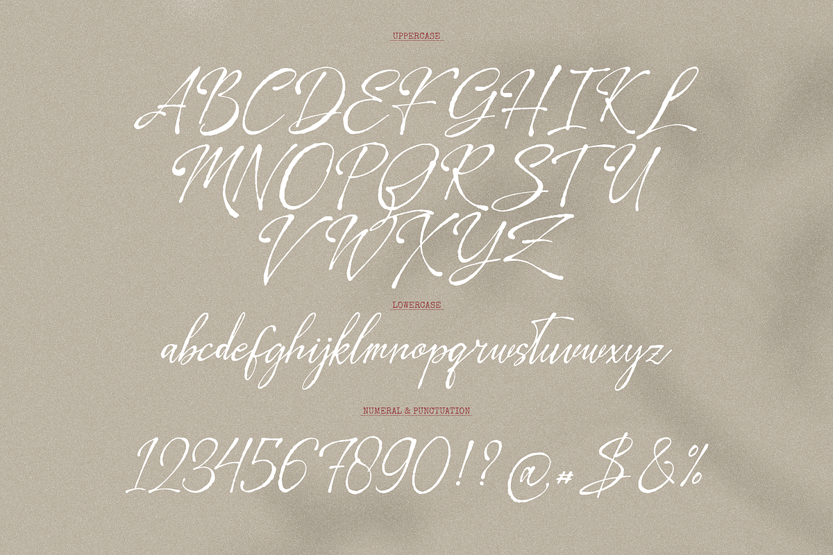 Leirtag Aquelli | Vintage Script, a Script Font by Denustudios (Photo 13 of 15)