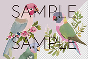 Whimsical Australian Birds Clipart, an Animal Illustration by Pawcasso's Portraits (Thumbnail 2 of 7)