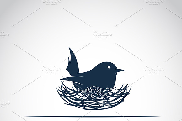 Bird Hatch Her Egg In Nest