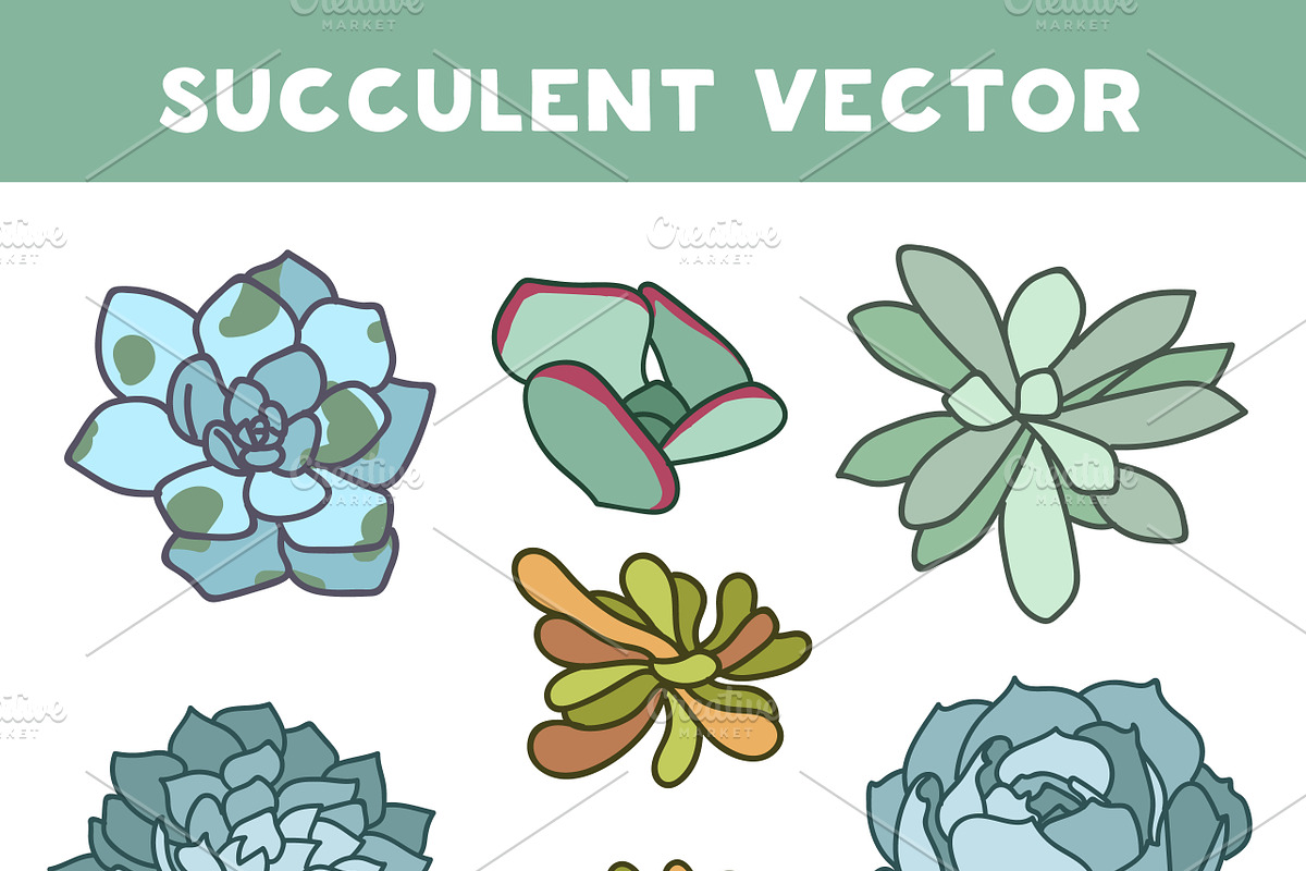 Succulent vector pattern & invite, a Pattern Graphic by OctoPaper (Photo 3 of 5)