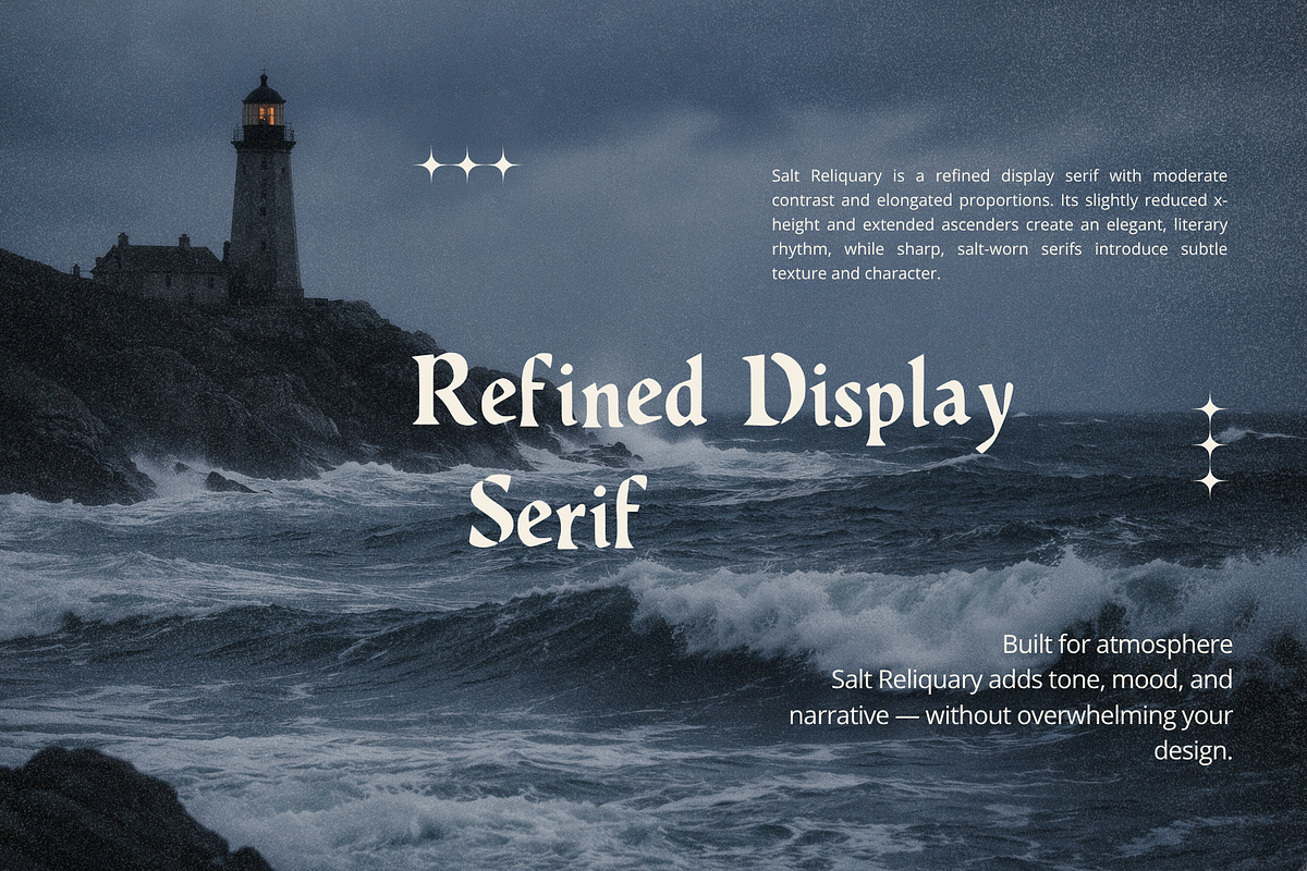 Salted Reliquary Dark Display Serif, a Serif Font by foxsong (Photo 2 of 5)