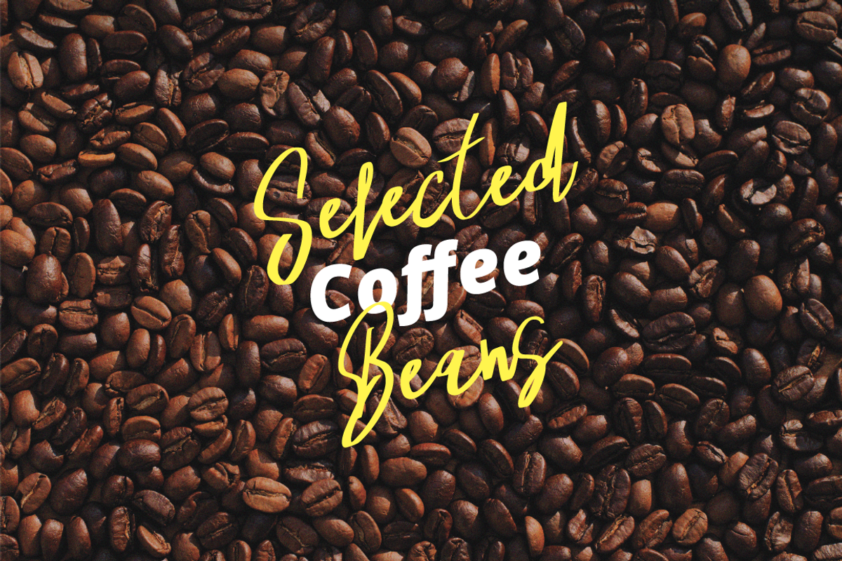 Reforia Signature, a Handwritten Font by Eltypesstudio (Photo 7 of 10)