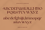 Reinsa - Elegant Modern Logo Font, a Sans Serif Font by Pekotype (Thumbnail 3 of 15)