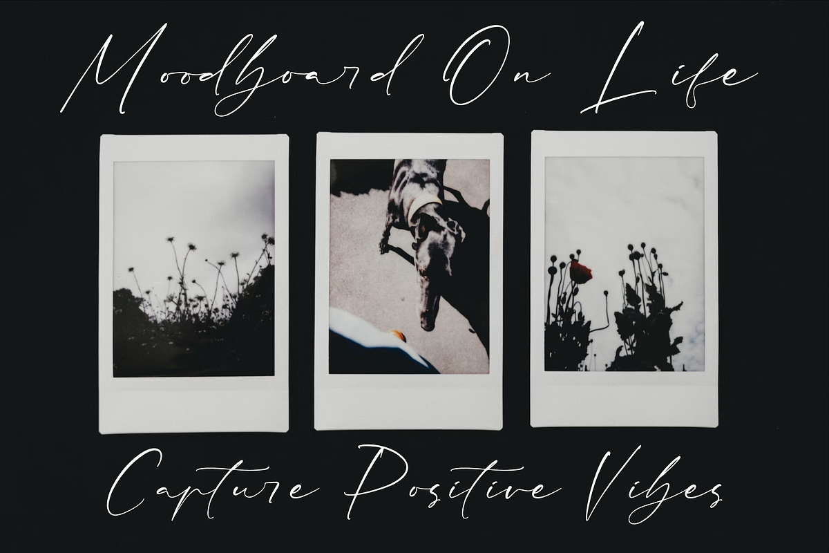 Rhastela Greams Modern Signature, a Script Font by Storytype Studio (Photo 5 of 15)