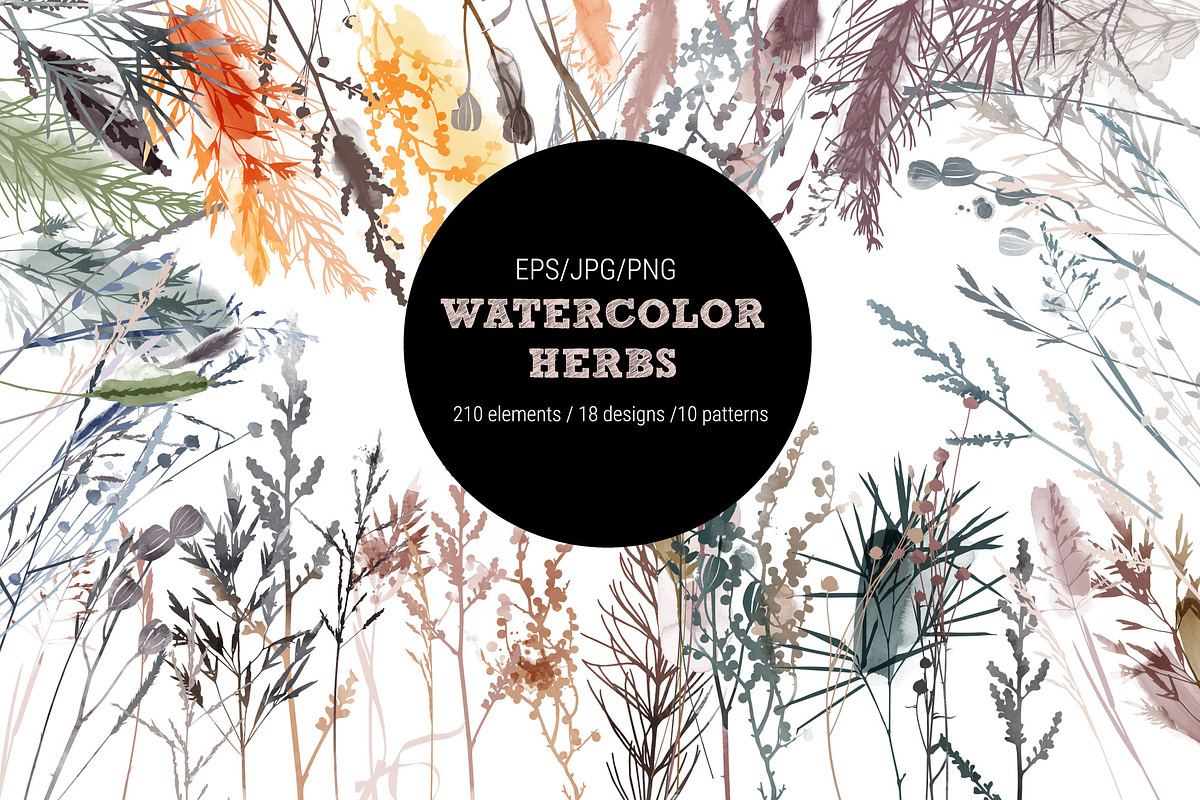 Watercolor herbs collection, a Decorative Illustration by Tatiana Davidova (Photo 1 of 8)