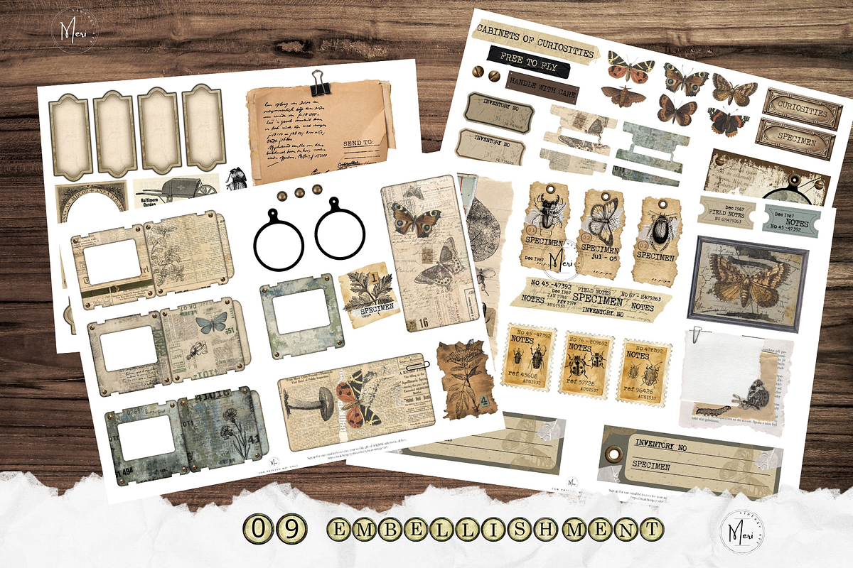 Cabinet of Curiosities junk journal, a Decorative Illustration by meribela (Photo 6 of 7)