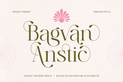 Bagvan Anstic Elegant Serif Font, a Serif Font by timelesstype.co (Thumbnail 1 of 20)