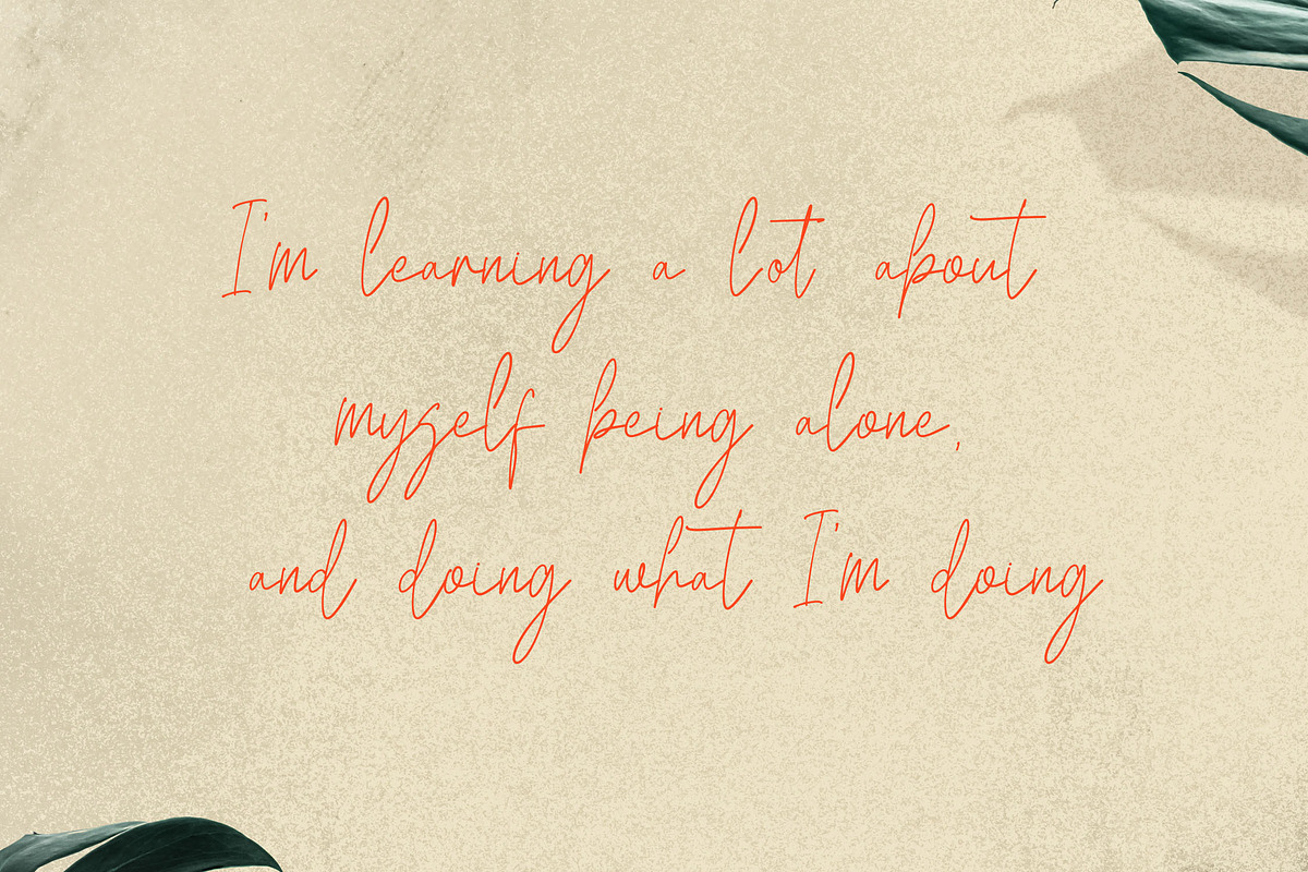 Metafora Signature Script Font, a Script Font by NTC Graphic (Photo 5 of 9)
