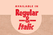 Sansible | Retro Display, a Sans Serif Font by StudioWorks (Thumbnail 2 of 10)
