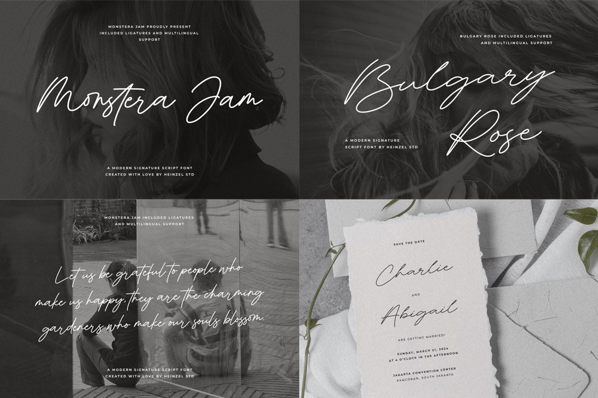 Premium Font Bundle Sale, a Script Font by Heinzel Std (Photo 4 of 10)