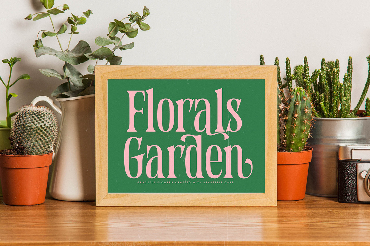 Holiday Foreste Modern Serif Font, a Serif Font by timelesstype.co (Photo 5 of 15)