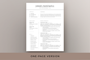 Executive Resume & Cover Letter Word, a Resume Template by Resume Bureau (Thumbnail 2 of 5)
