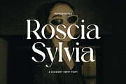 Roscia Sylvia Elegant Serif Font, a Serif Font by UICreative (Thumbnail 1 of 13)