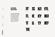 TT Berlinerins, a Sans Serif Font by TypeType (Thumbnail 6 of 15)