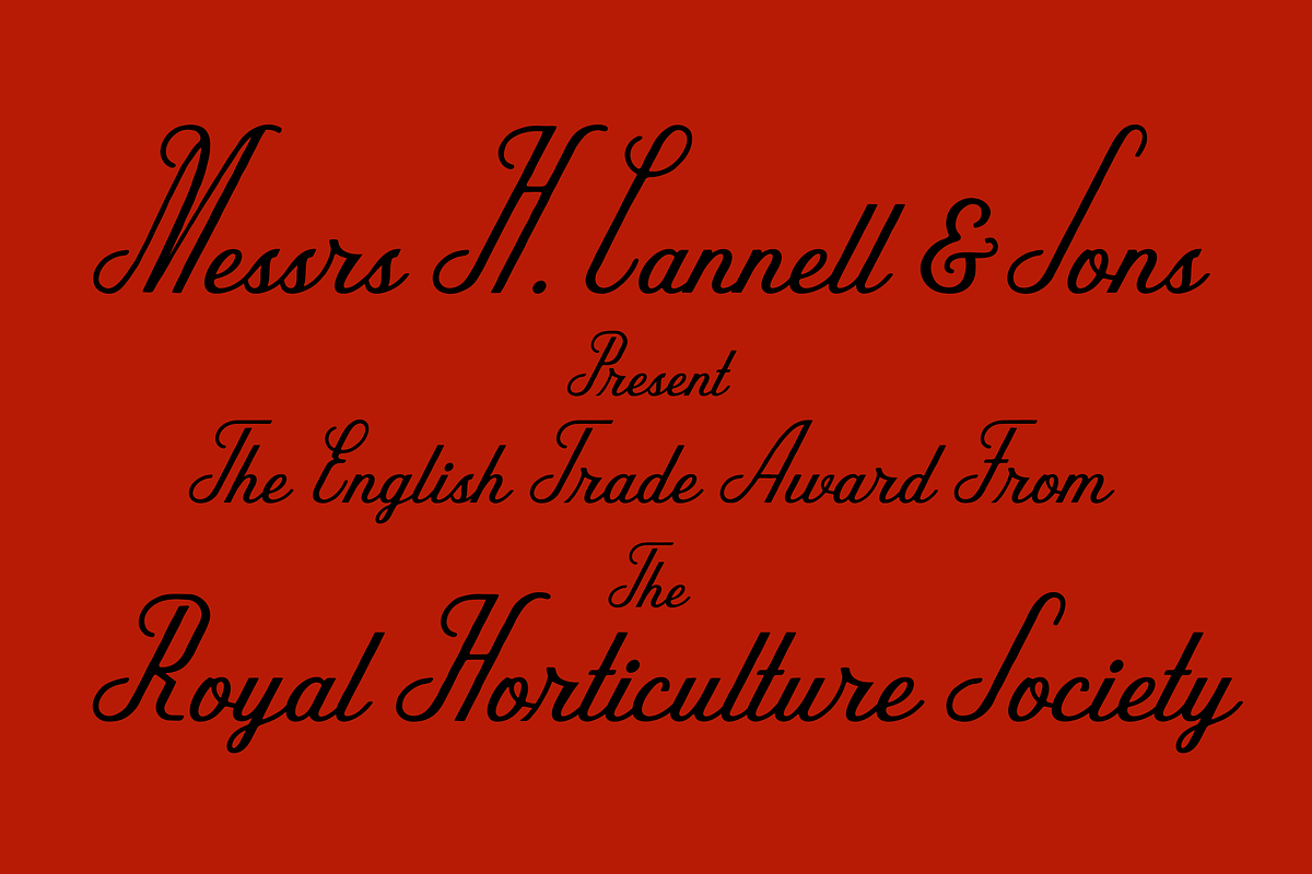 Karamello, a Script Font by SAMPLE (Photo 4 of 5)