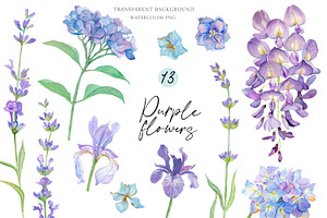 Watercolor Purple Flowers clipart