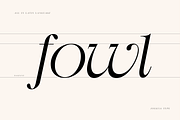 Swily Bright | Classy Font, a Serif Font by Jolicia Type (Thumbnail 10 of 11)