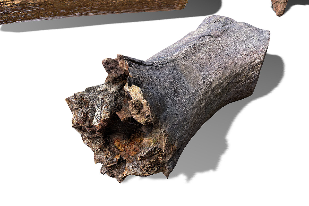 13 Tree Logs, an Environmental 3D Model by Beatheart Creative Studio (Photo 30 of 37)