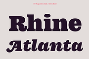 DT Augustina Slab 2 Subfamily, a Slab Serif Font by Deveze Type Foundry (Thumbnail 14 of 30)