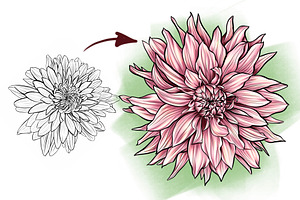 Flower Stamp Brushes For Procreate