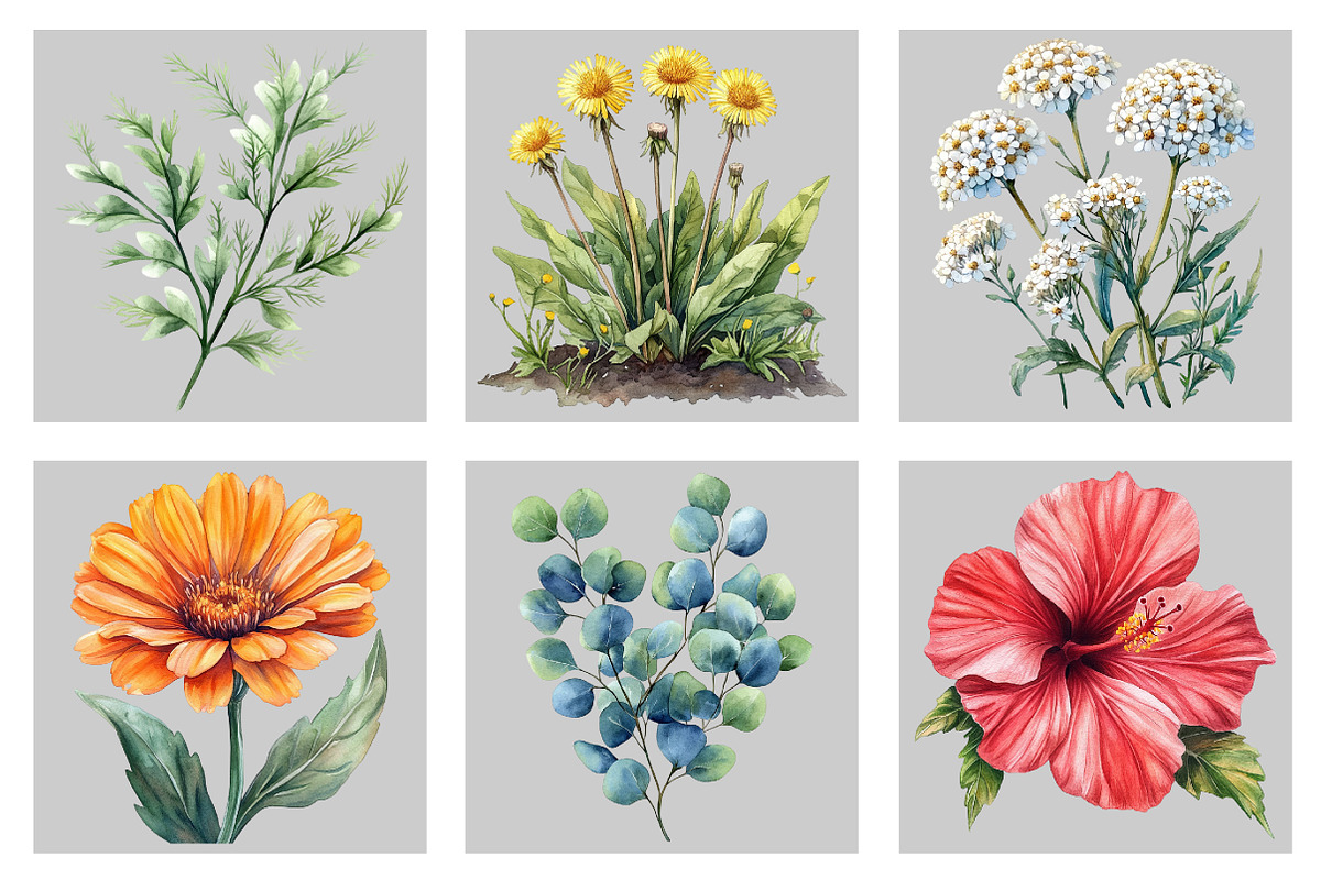 Watercolor Medicinal Herbs Clipart, an Illustration by Black Bird Studio (Photo 3 of 5)