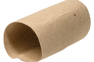 Brown paper tube from finished toilet paper on isolated backgrou, an Abstract Photo by ndanko