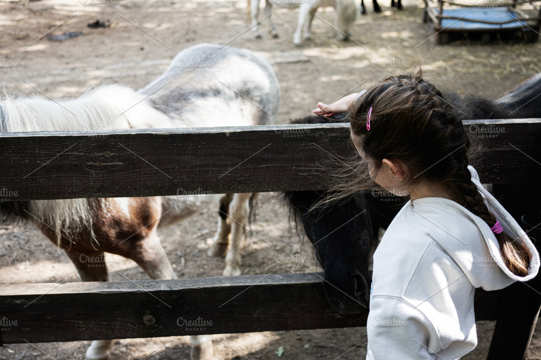 Young girl interacting with ponies through a wooden fence in rural setting, a Photo by AS photostudio