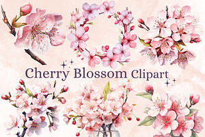 Watercolor Cherry Blossom Collection, a Decorative Illustration by GiraffeCreative