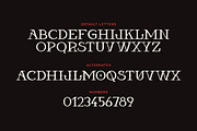 Anemoia Typeface, a Serif Font by Tugcu Design Co. (Thumbnail 2 of 4)