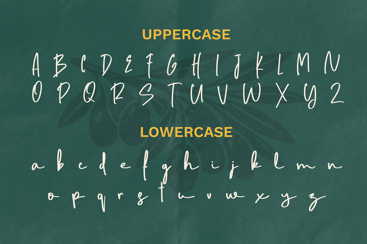 Seattles - Handwritten Script Font, a Handwritten Font by Vampstudio (Photo 10 of 11)