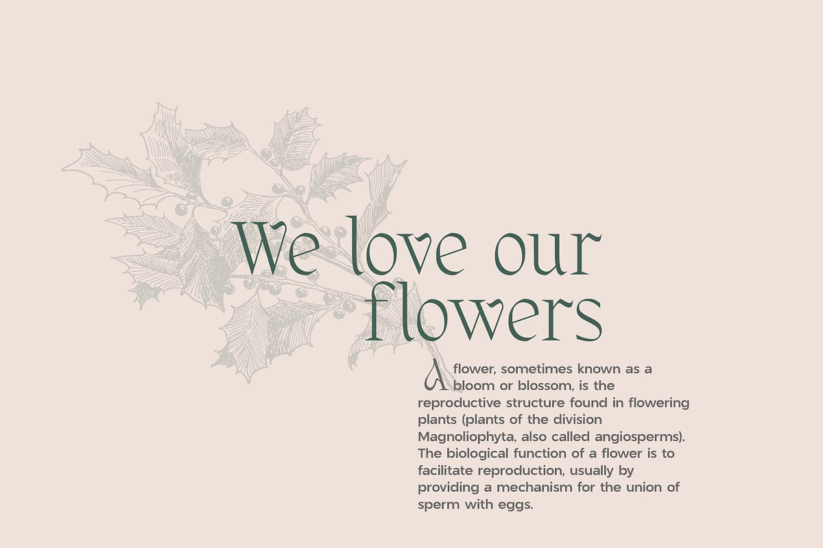 Holiday Season | Christmas Fonts, a Serif Font by Headfonts (Photo 7 of 9)