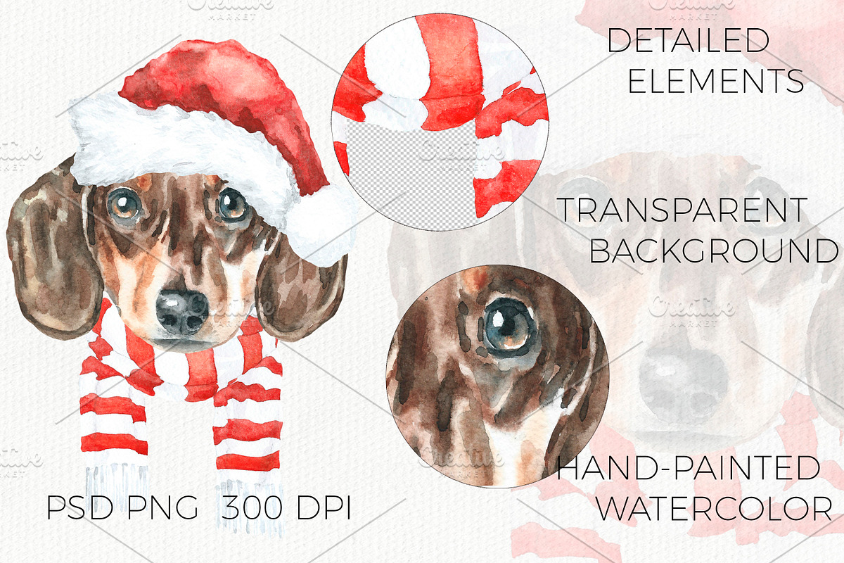 Christmas Character Dogs & Cats, an Animal Illustration by Catherine Wheel (Photo 13 of 23)