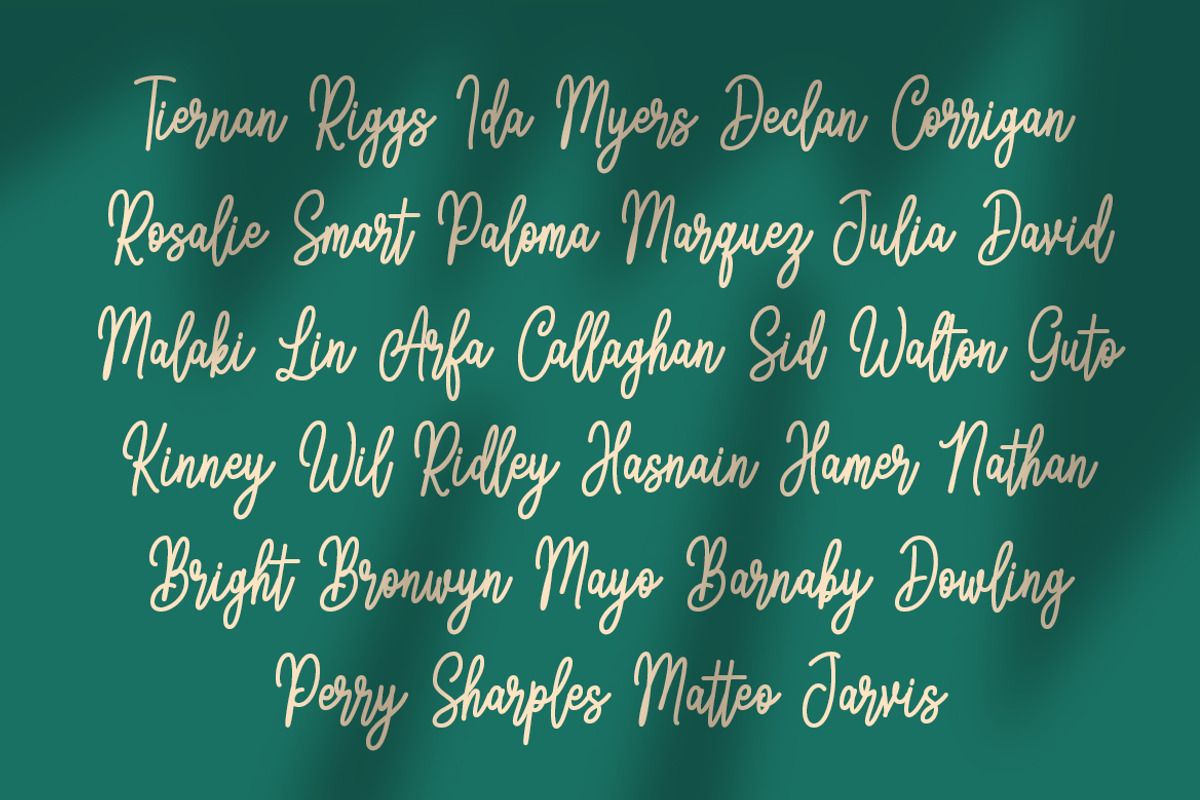 Coulette Handwritten Script, a Script Font by Weape Studio