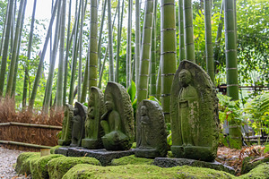 Jizo Bosatsu statues in the bamboo forest of Hokoku-ji, Kamakura, an Architecture Photo by GoodGoods