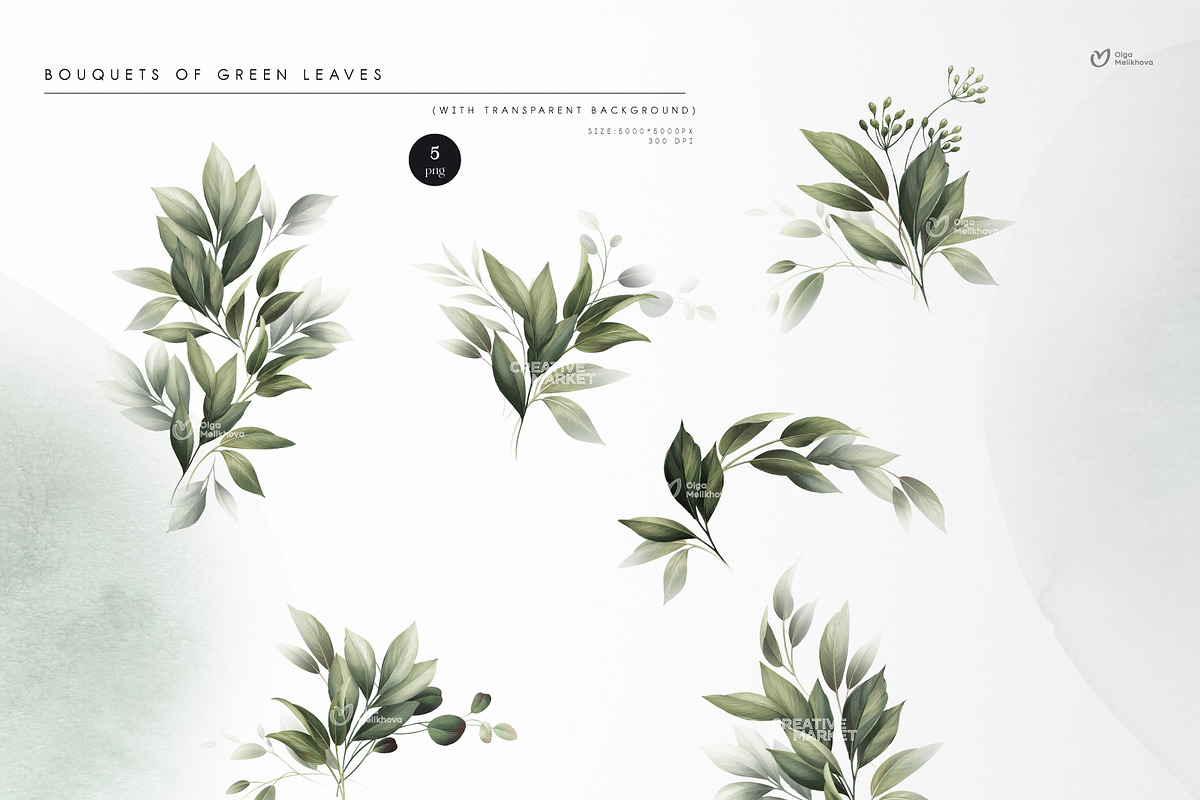 Green leaves - greenery clipart, an Illustration by ollalya (Photo 3 of 12)