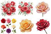Colorful Roses Watercolor Clipart, an Illustration by Pixels.Craft (Thumbnail 3 of 5)