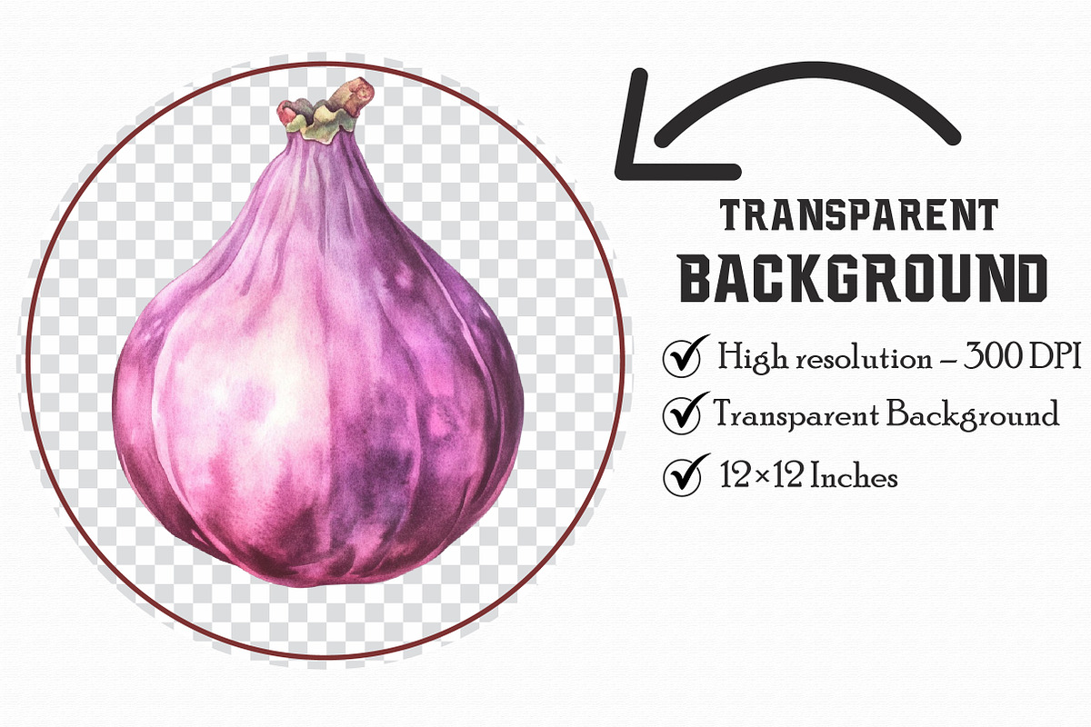 Violet Fruit And Vegetables Clipart, an Illustration by Libby Wishes (Photo 4 of 6)