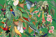 1150 Vintage Bird Illustratins, an Animal Illustration by Lilithcollageart (Thumbnail 2 of 10)