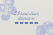 Italian Dinner Illustrations, a Food Illustration by Caroline Holm Design (Thumbnail 2 of 3)