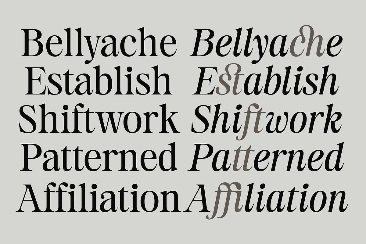 Estetika Maison - Editorial Serif, a Serif Font by The Native Saint Club (Photo 6 of 16)