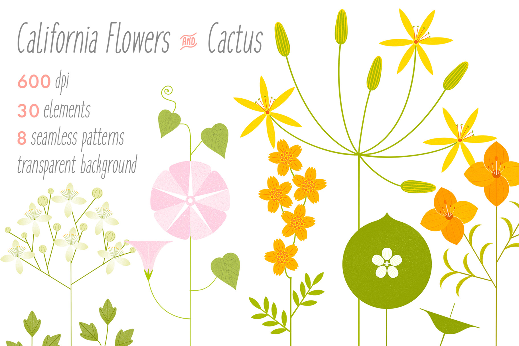 California Flowers | Decorative Illustrations ~ Creative Market