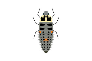 Ladybug Larva, a Solid Icon by Buqancreative