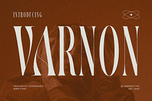 Varnon Elegant Serif Font Typeface