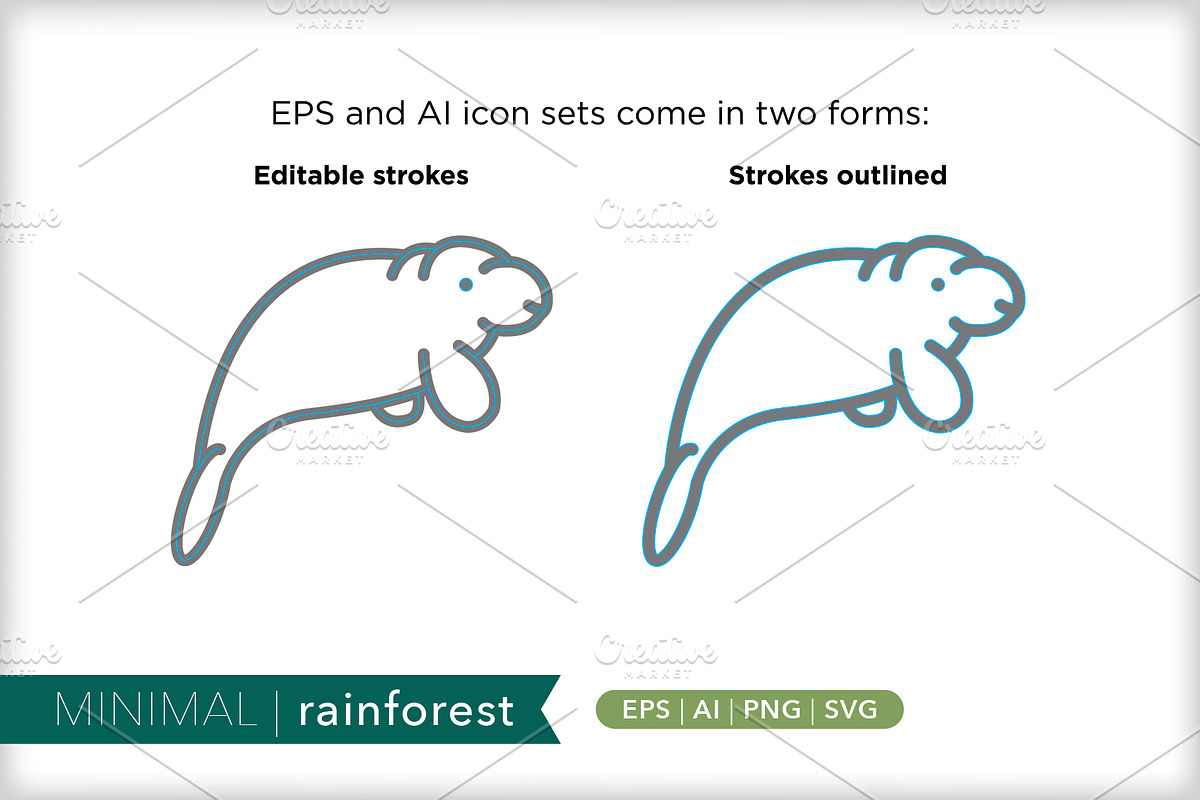 Minimal rainforest icons, an Outline Icon by Picture Window (Photo 3 of 5)