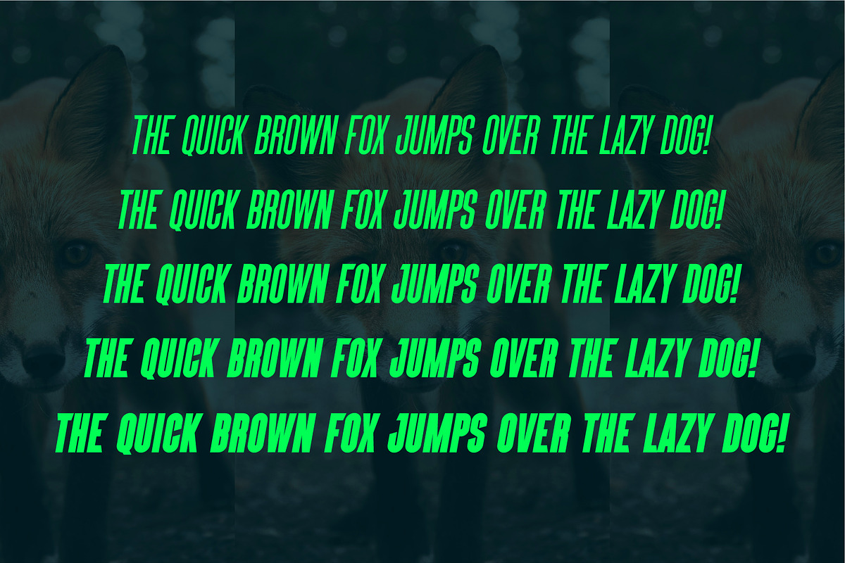SOCIAL SANS - Bold Display Font, a Sans Serif Font by BfredDesign (Photo 8 of 8)