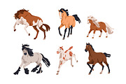 Horses, equine animal breeds set, an Animal Illustration by Good Studio (Thumbnail 3 of 5)